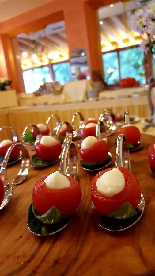 Hotel Diana San Zeno di Montagna